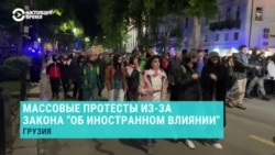 Митинги в Грузии против закона об "иноагентах". МВД отчиталось о задержании 13 человек