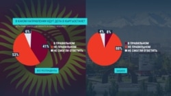 Кого из политиков и партий кыргызстанцы поддерживают накануне выборов в парламент?