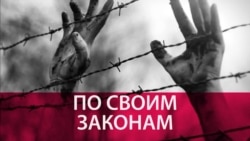 Каждого поименно. Как "Мемориал" расследует судьбы людей из "расстрельного списка Новой"