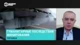 "Это не наступательное, а оборонительное вооружение". Полковник запаса ВСУ – о передаче Украине систем дистанционного минирования